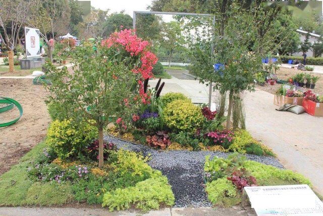 参赛作品.jpg 参赛作品.jpg