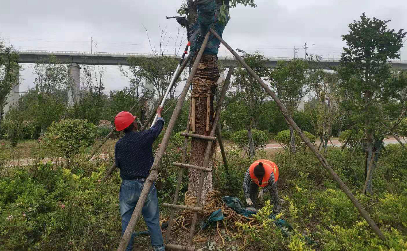 微信图片_20210714153515.jpg 微信图片_20210714153515.jpg