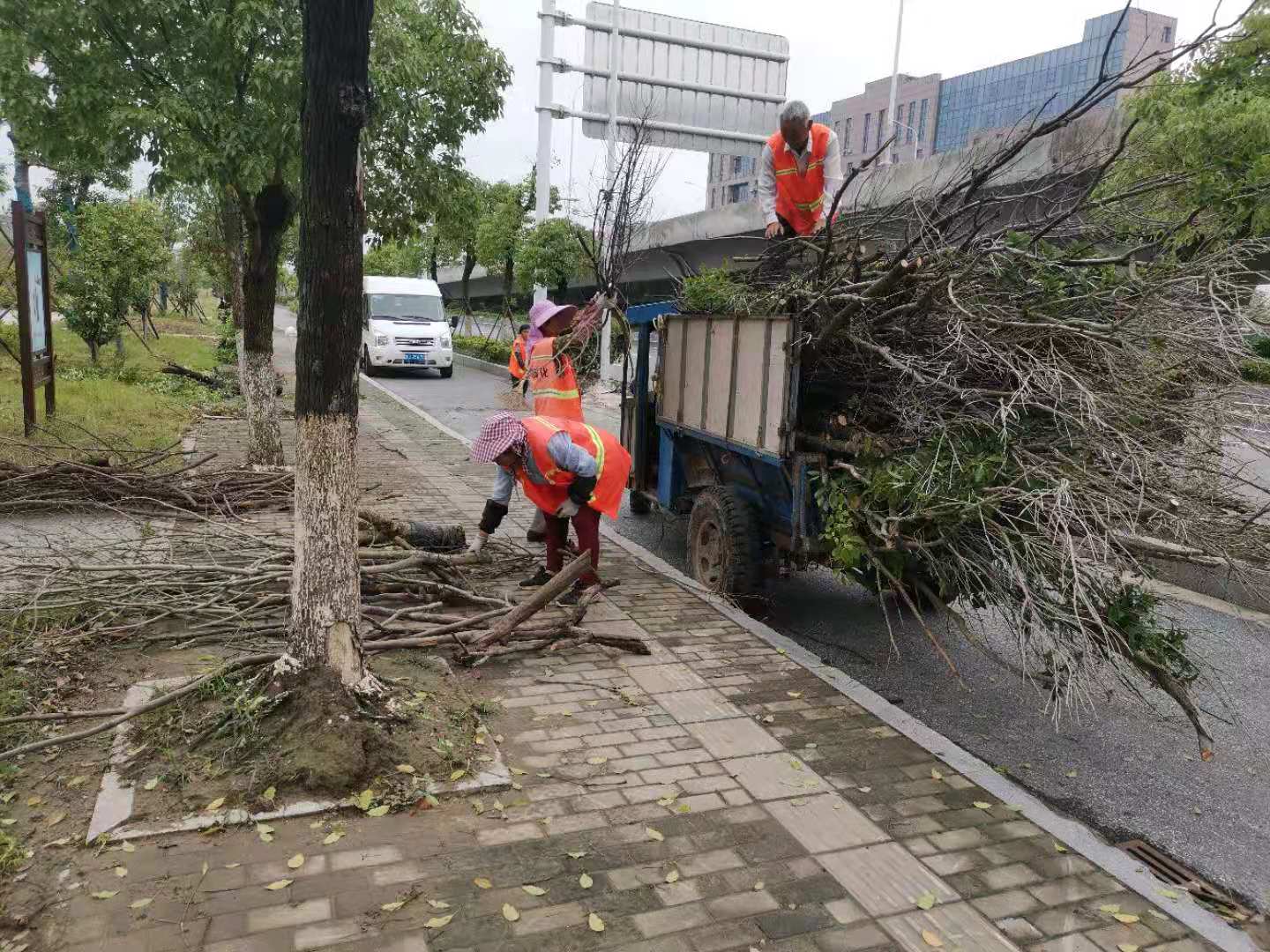 51116091bc2e1cd8cd2b64196c25a37.jpg 51116091bc2e1cd8cd2b64196c25a37.jpg