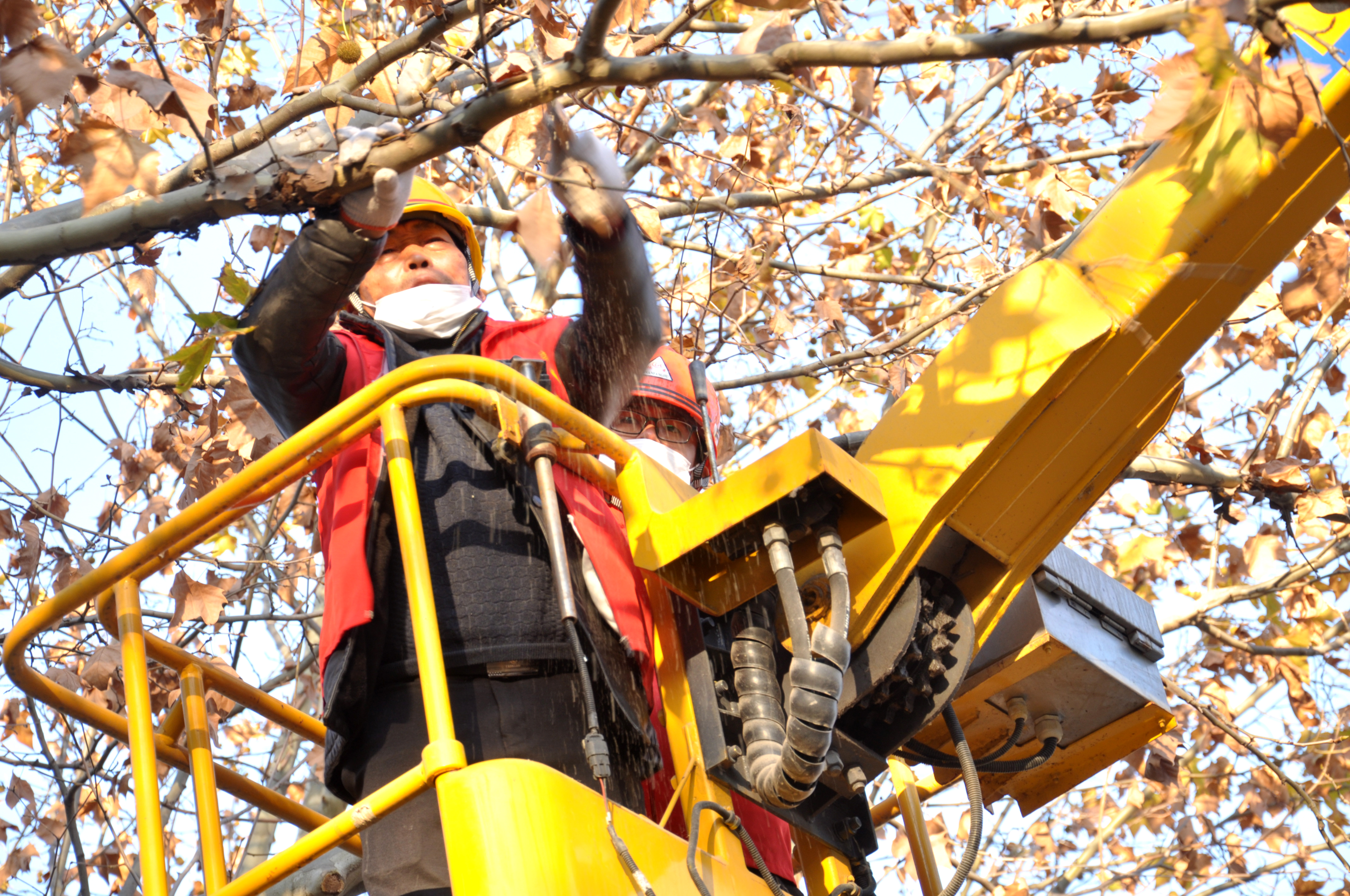 8d90ab81a14763007e1b1d48c39ff05.jpg 8d90ab81a14763007e1b1d48c39ff05.jpg