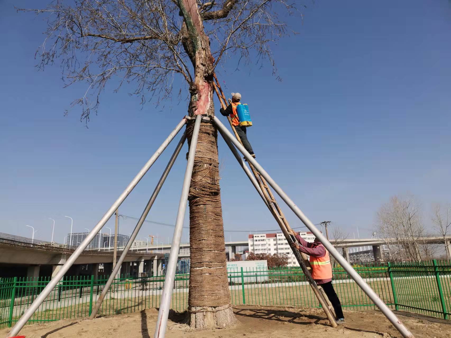 9594aae38d9418270a20413f523c6ff.jpg 9594aae38d9418270a20413f523c6ff.jpg