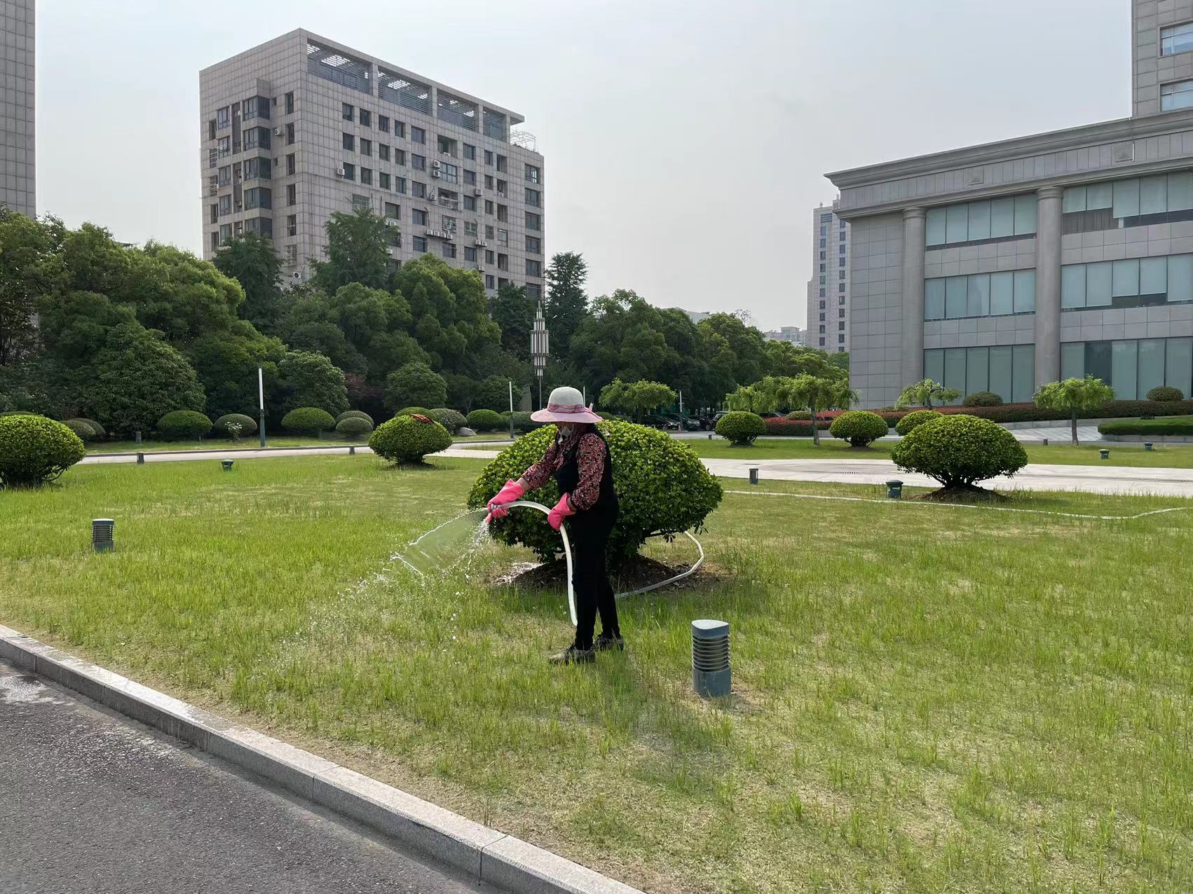 盐城市交通运输局大院绿化养护工程 盐城市交通运输局大院绿化养护工程