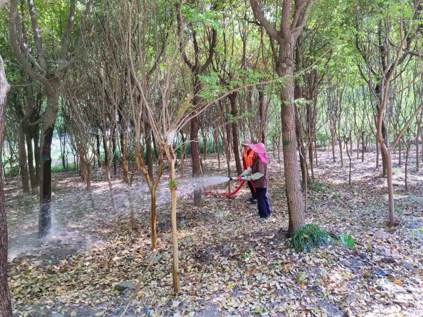 微信图片_20220601145614.jpg 微信图片_20220601145614.jpg