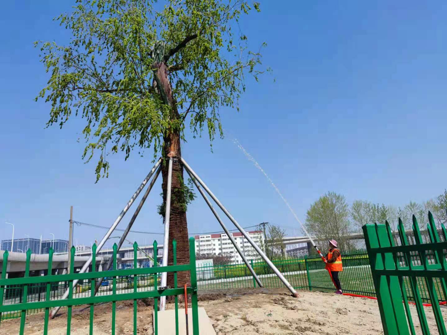 微信图片_20220517103242.jpg 微信图片_20220517103242.jpg