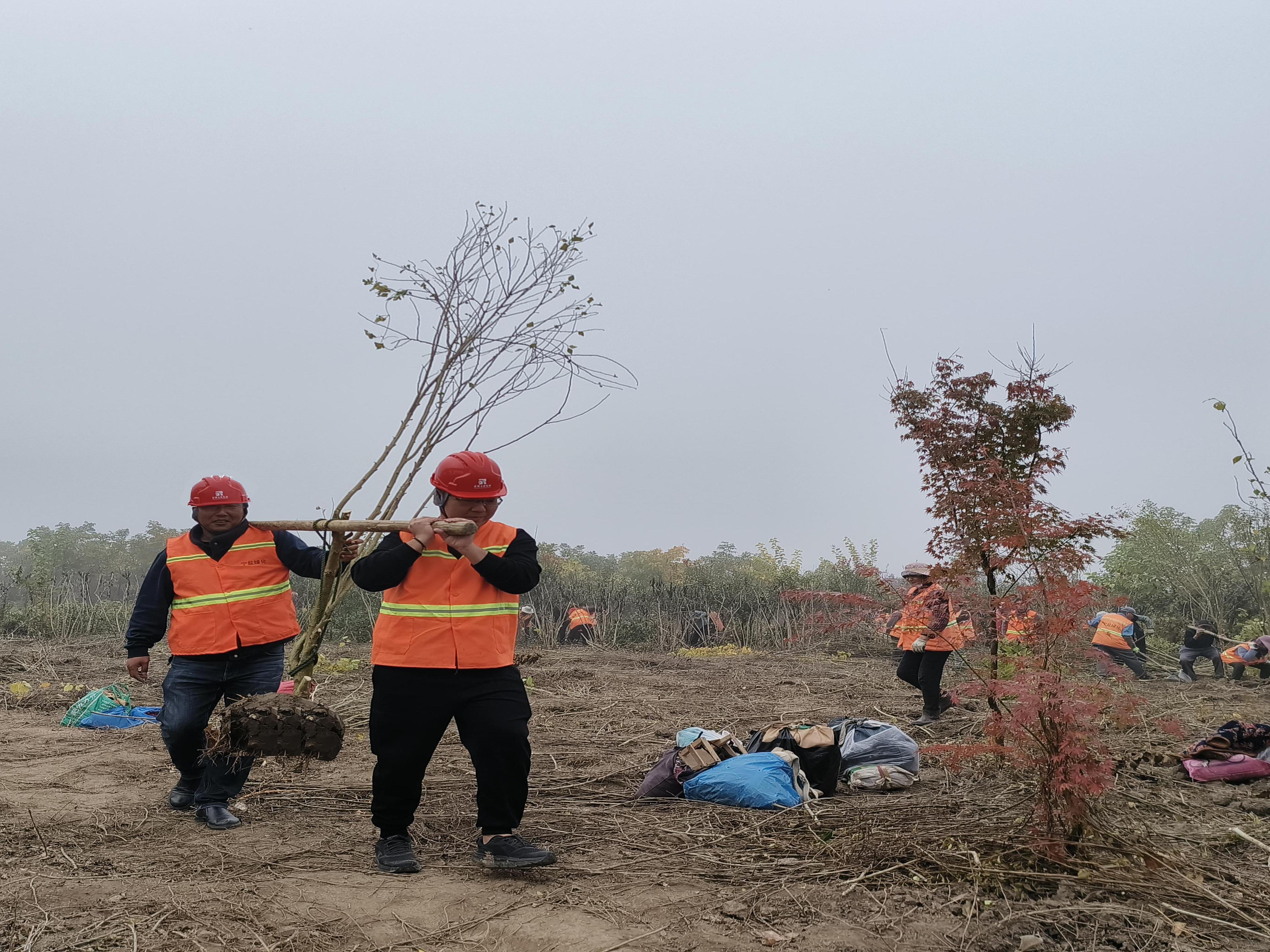 图片8.jpg 图片8.jpg