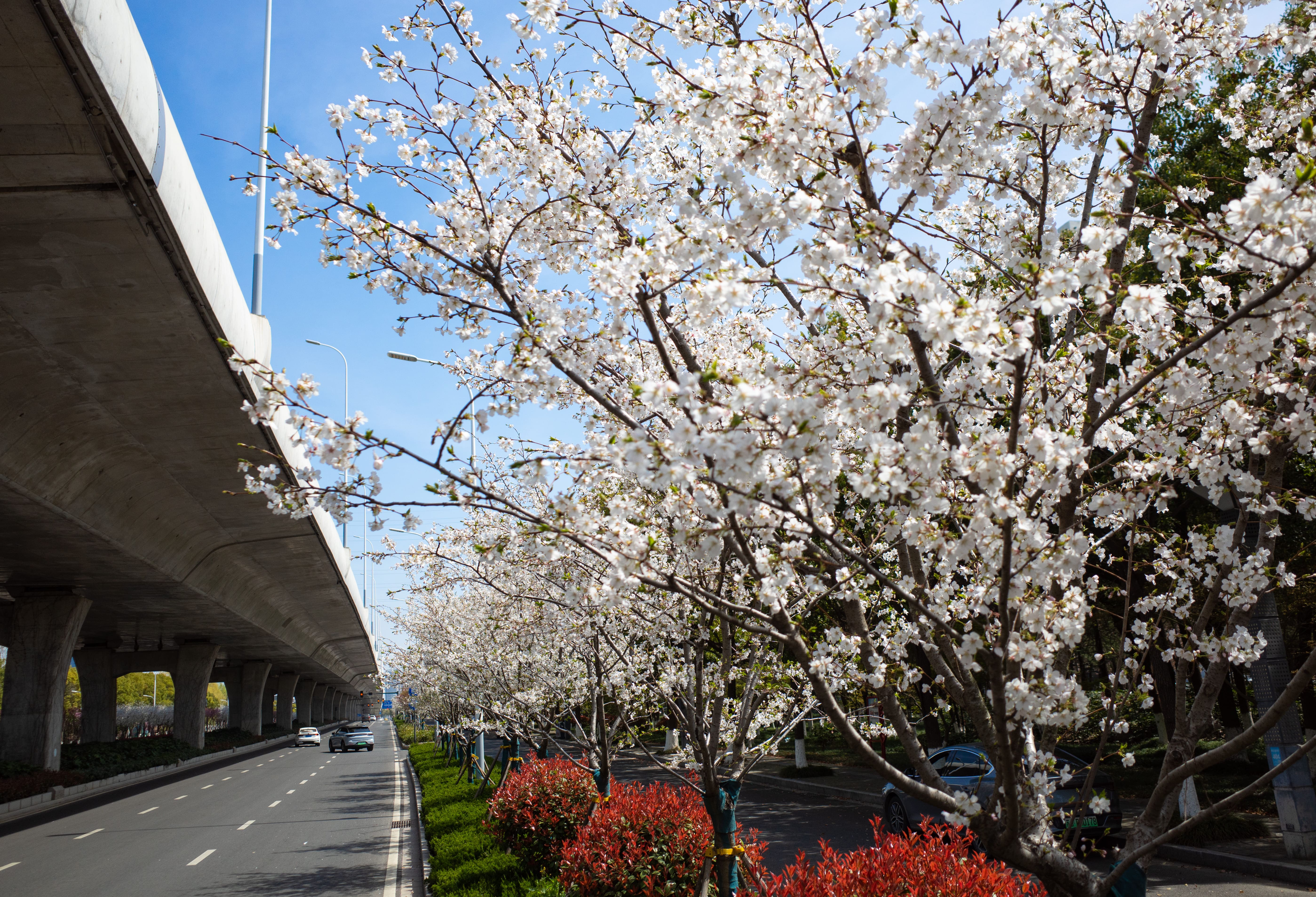 微信图片_20240412105103.jpg 微信图片_20240412105103.jpg