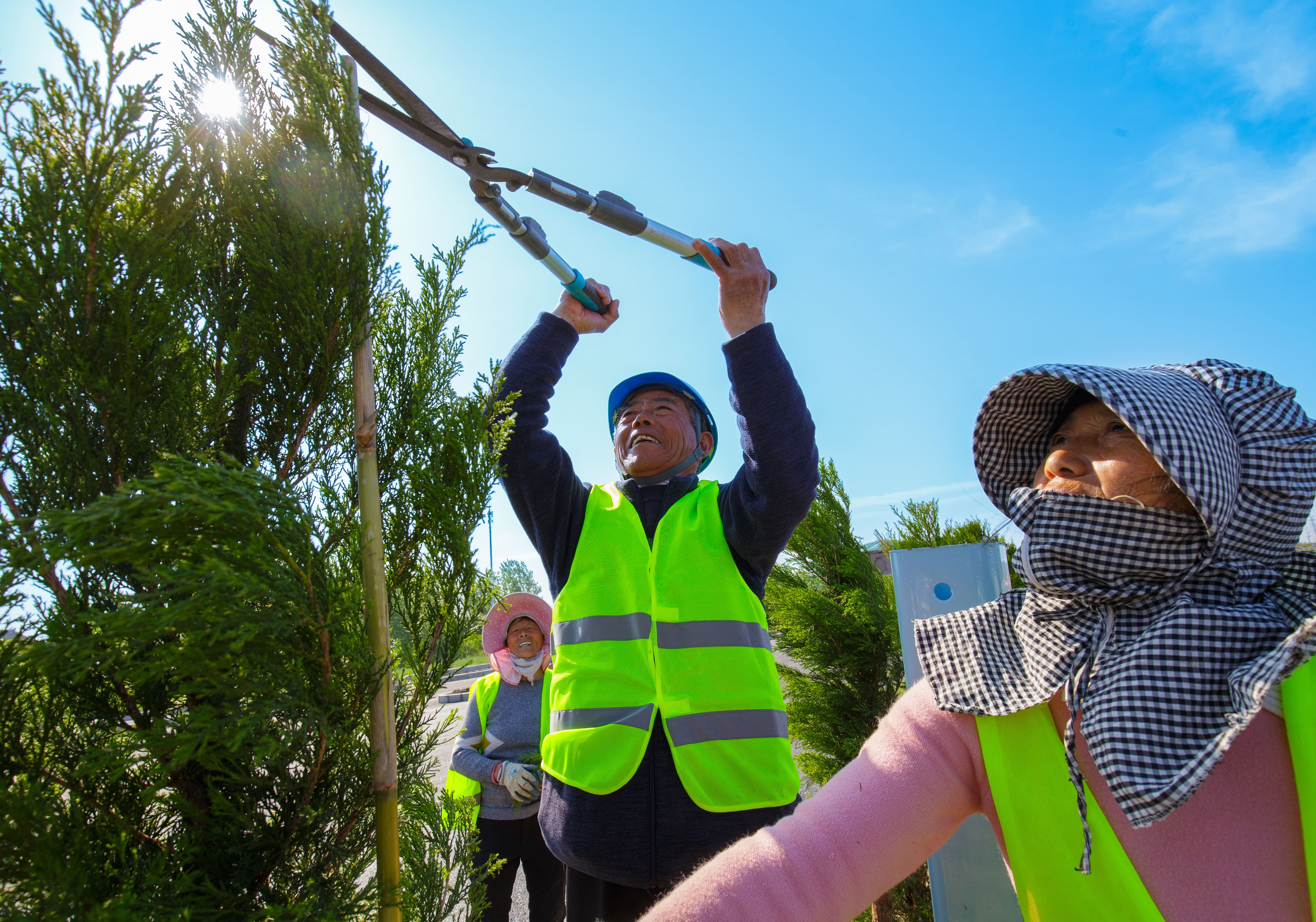 204国道盐阜快速通道绿化施工现场,绿化人员在按规定标高修剪中分带绿化。.jpg 204国道盐阜快速通道绿化施工现场,绿化人员在按规定标高修剪中分带绿化。.jpg